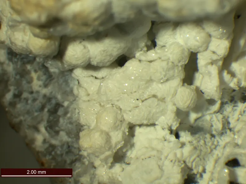 Ferroaluminoceladonite-337295.jpg
