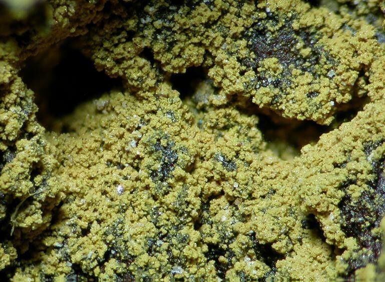 Gartrellite