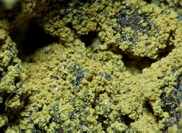 Gartrellite-113795.jpg