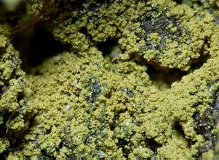 Gartrellite-113795.jpg