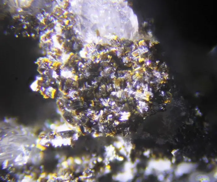 Gayite & Morinite.jpg