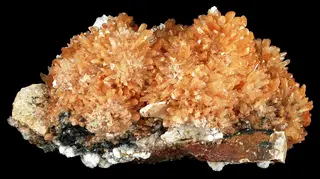 Creedite-Gearksutite-creedite-28-back.jpg