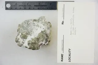 Gerstleyite in Clay with Probertite, Borax, and Kernite (48522536511).jpg