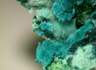 Gilmarite-Conichalcite-96141.jpg