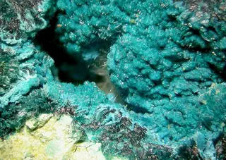 Gilmarite-96142.jpg